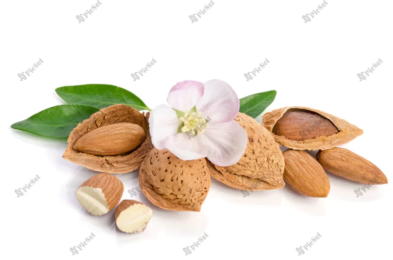 paradise flower with almond nuts isolated white background / گل بهشتی با آجیل بادام