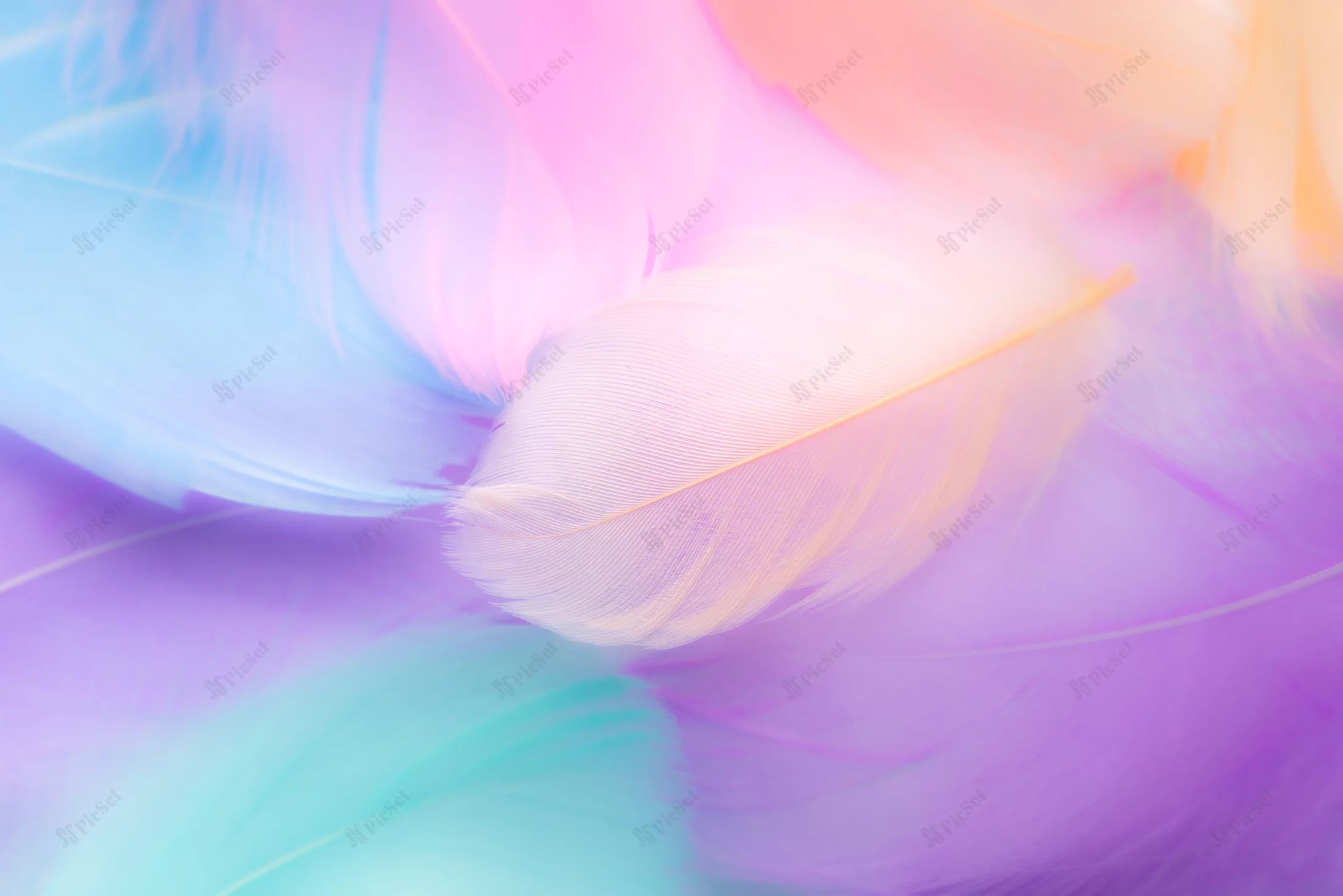 pastel colour feather abstract background / پس زمینه انتزاعی پر رنگ پاستلی