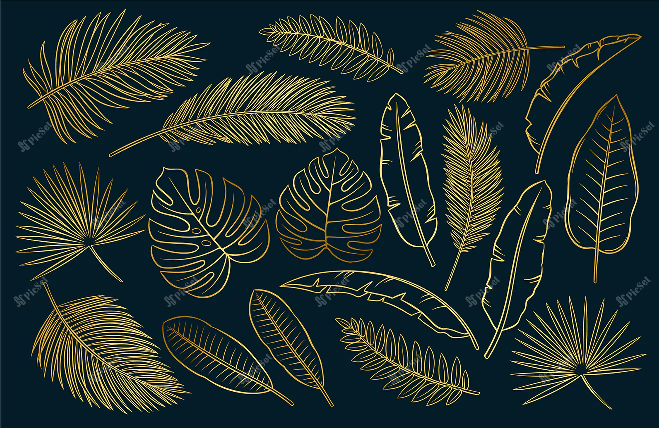 set black white tropical leaves feathers set white background vector sketch outline illustration / مجموعه سیاه و سفید برگ های استوایی