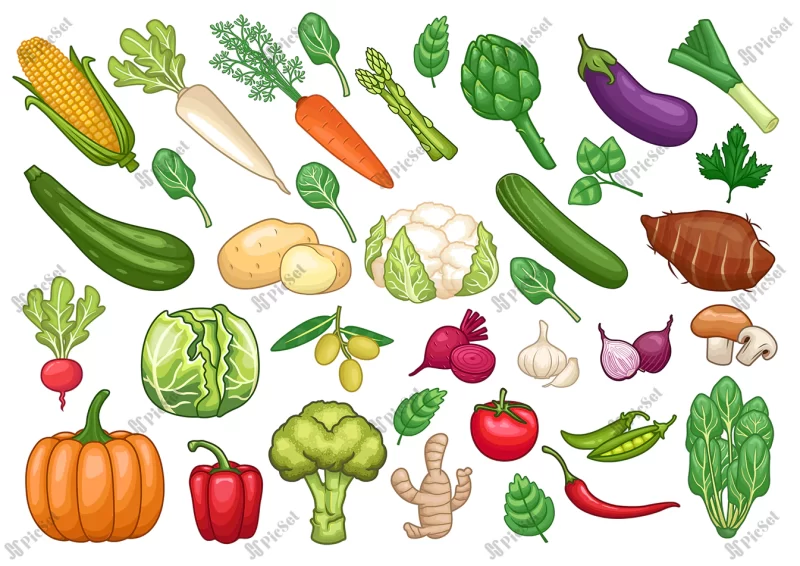 stock vector set vegetables graphic object illustration / آیکن مجموعه سبزیجات، نماد سالاد و غذا