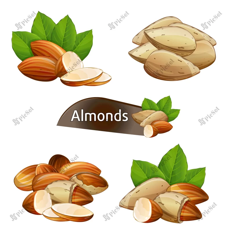 almond kernel with green leaves set / ست مغز بادام با برگ سبز