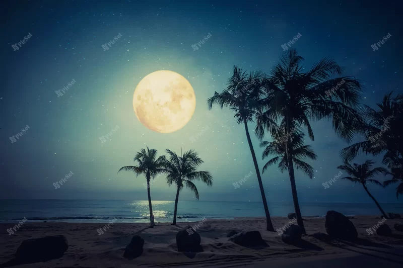 beautiful fantasy tropical beach with star full moon night skies / ساحل استوایی فانتزی زیبا با آسمان شب ماه کامل
