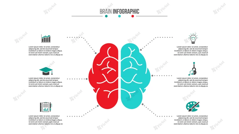 brain left analytical right creative hemispheres infographics / اینفوگرافیک نیمکره راست خلاق و چپ مغز