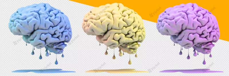 brain v2 / مغز و ذهن