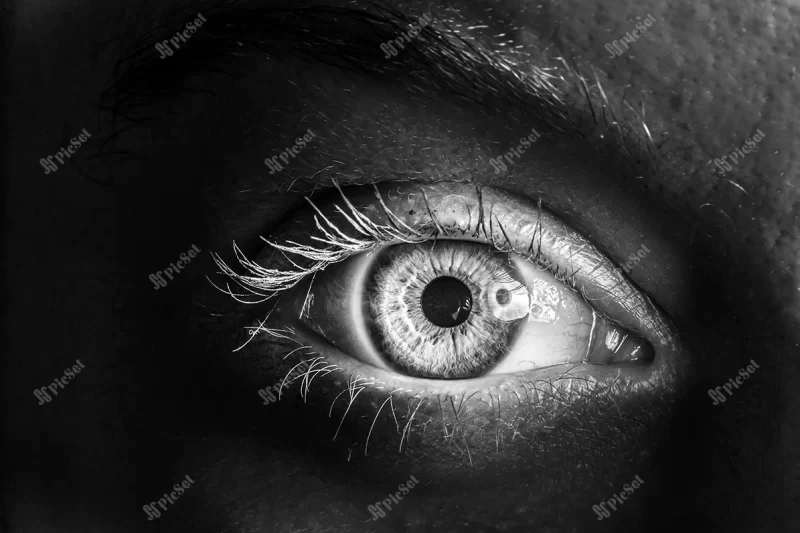 close up view woman 39s eye illuminated darkness striking contrast with lit eyeball as woman looks camera standing shadow / کره چشم روشن
