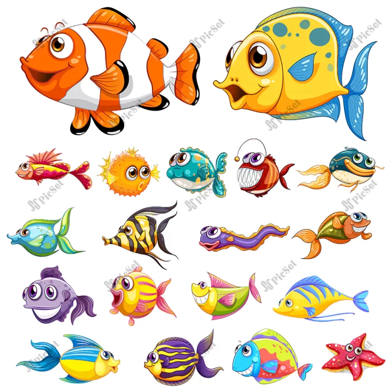different types fish / انواع مختلف ماهی