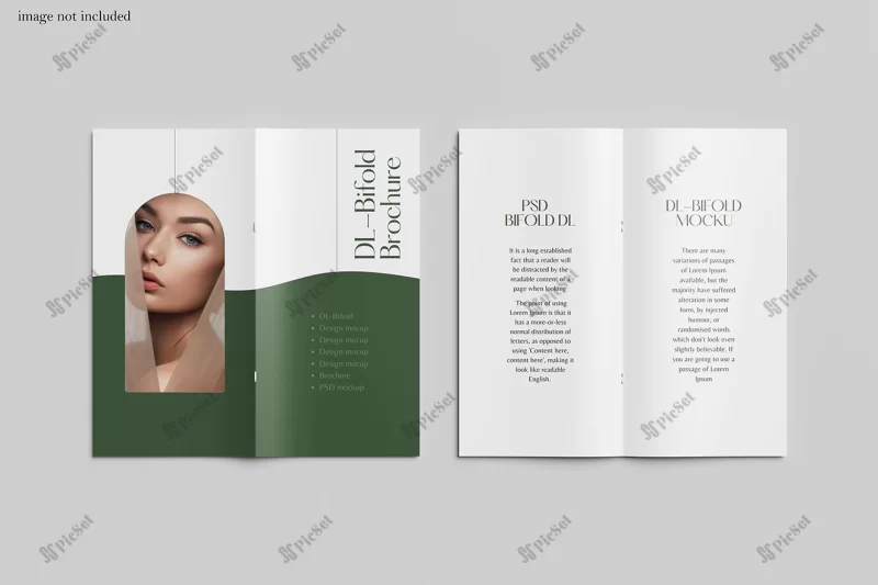 dl bifold brochure mockup / موکاپ بروشور دو لت