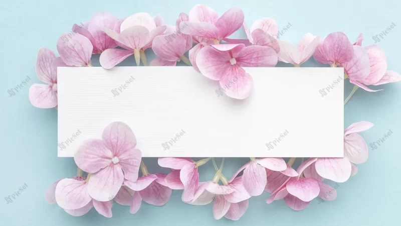 flat lay pink hydrangea flowers with blank rectangle / گل های هیدرانسی صورتی تخت با مستطیل خالی