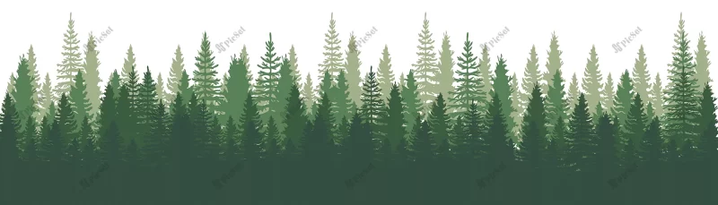 forest panorama view pines spruce nature landscape forest background set pine spruce christmas tree white background silhouette forest background vector illustration / جنگل کاج صنوبر، طبیعت منظره درخت کریسمس