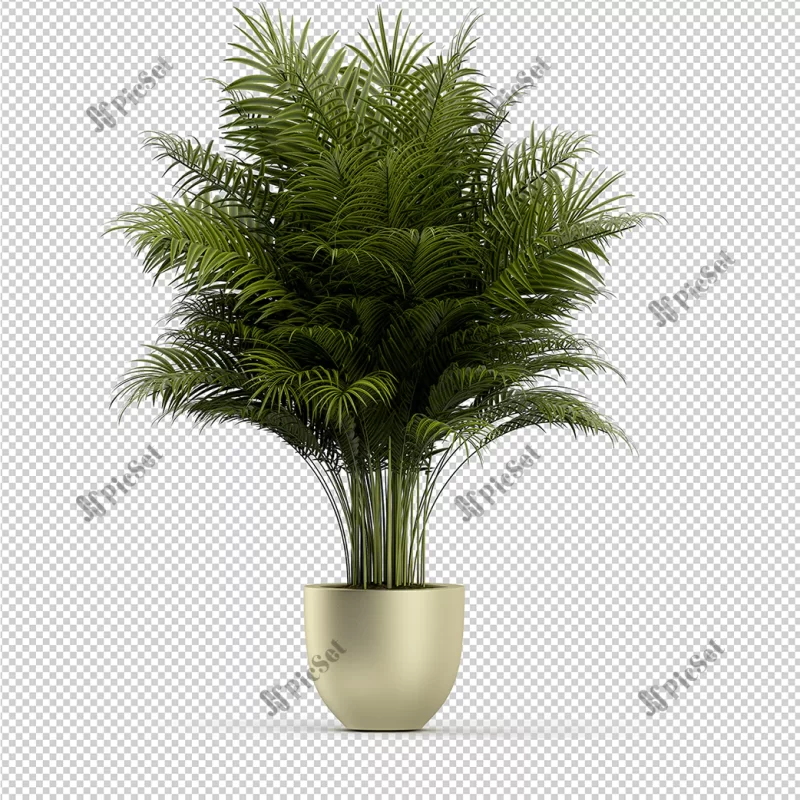isometric plant 3d rendering / رندر سه بعدی گیاه ایزومتریک