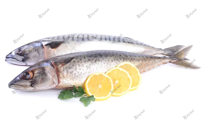 mackerel with lemon white background / ماهی با لیمو