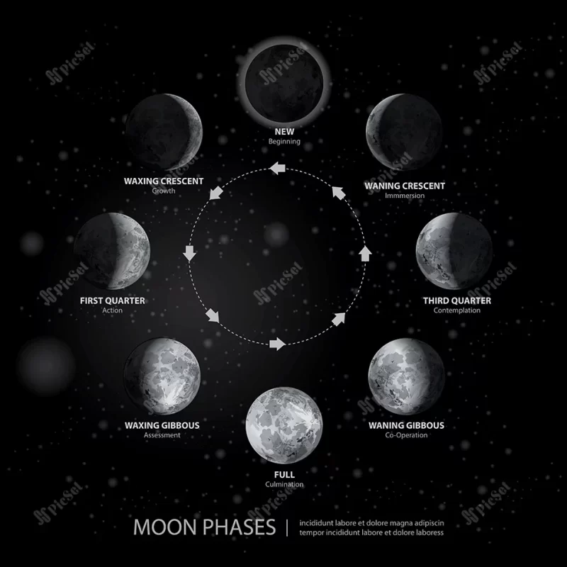 movements moon phases realistic vector illustration / حرکات ماه