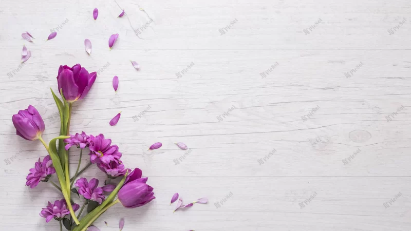 purple flowers with petals table / میز چوبی با گل بنفش و گلبرگ