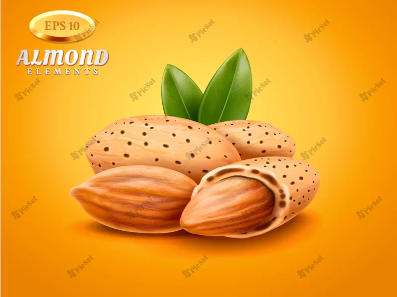 realistic detailed almonds with nutshells with green leaves isolated warm background / بادام با پوست و مغز