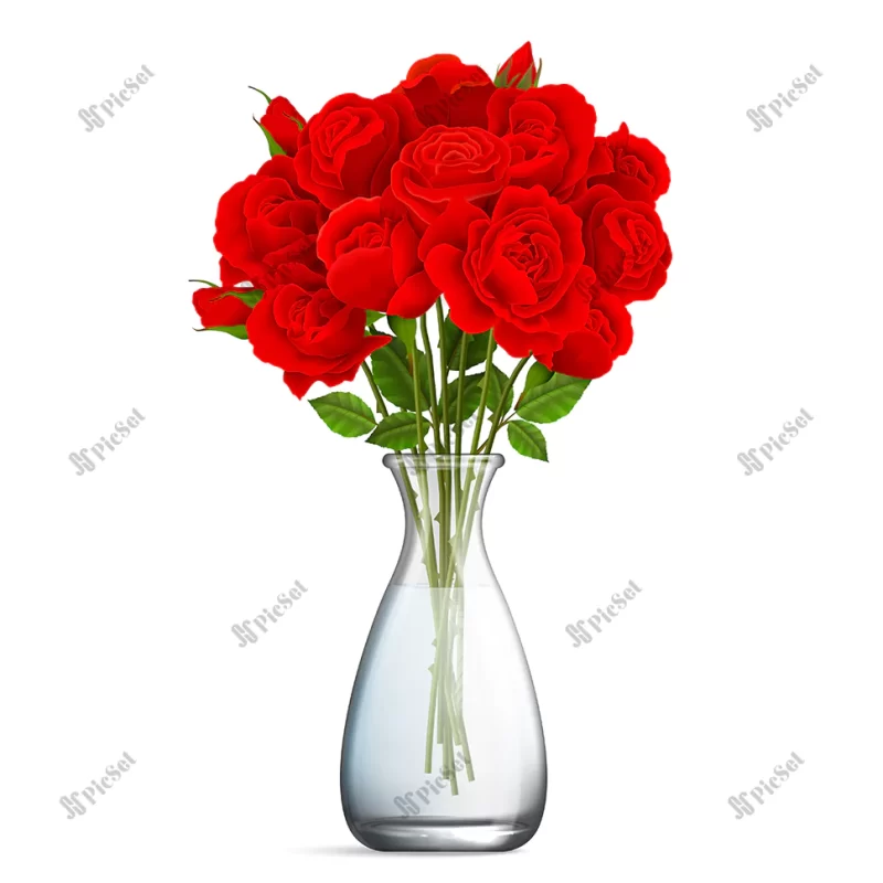 realistic glass vase with bouquet red rose white background isolated vector illustration / گلدان شیشه ای دسته گل رز قرمز