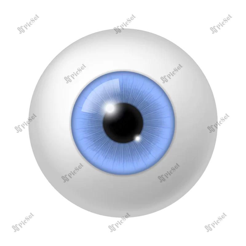 realistic human eyeball anatomy blue eye close up element 3d round iris retina pupil optical lens colorful ophthalmology clinic anatomy poster vector isolated white background illustration / کره چشم انسان، چشم سه بعدی آبی، عنبیه شبکیه مردمک لنز