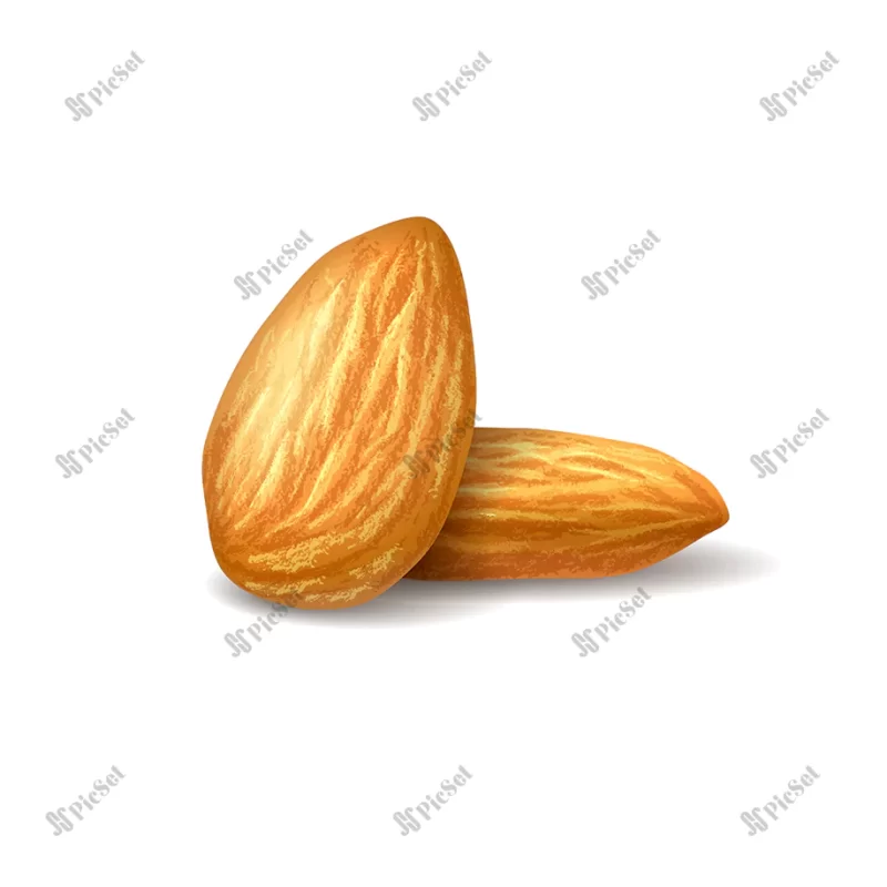 realistic illustration almonds white transparent background nuts background photorealistic illustration packaging labels postcards print design / تصویر بادام