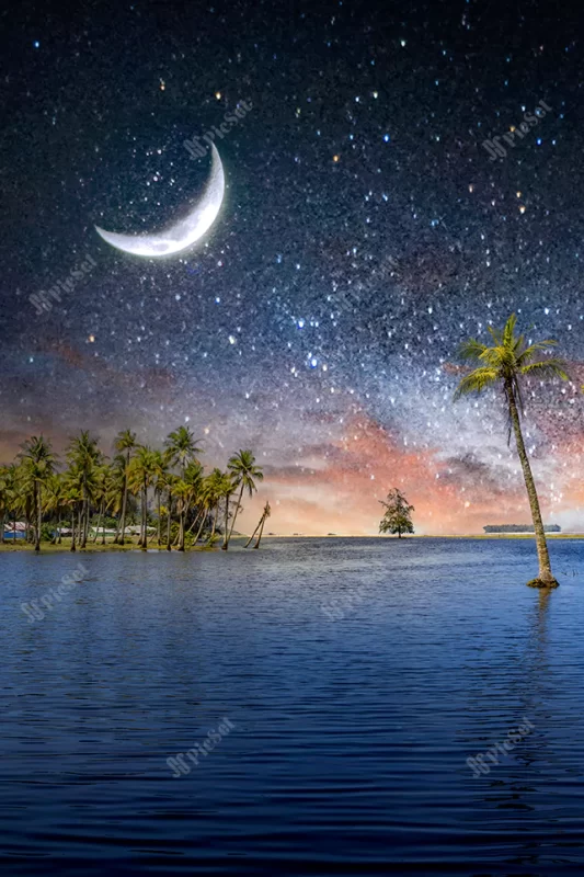 scenic view tropical island with coconut trees beautiful night sky / منظره جزیره گرمسیری با درختان نارگیل آسمان زیبای شب