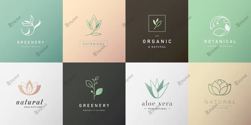 set natural logo branding modern design / لوگوی برگ درخت مدرن