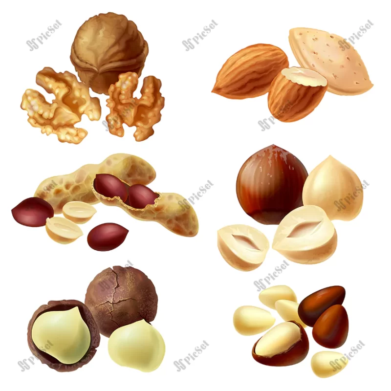 set various nuts hazelnut macadamia peanut almond walnut pine nuts / ست انواع آجیل، فندق بادام زمینی، گردو