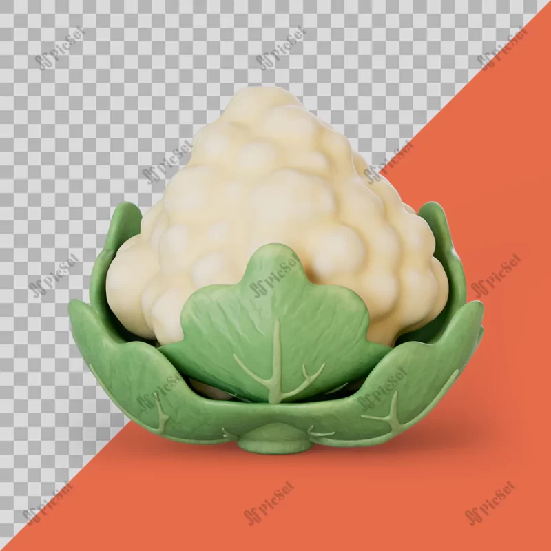 3d stylized cauliflower / گل کلم سه بعدی