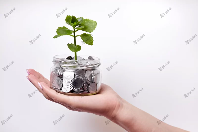 girl holding hands young plant glass jar with coins as concept investing saving / دختری که شیشه از سکه با رشد گیاه در دست دارد مفهوم سرمایه گذاری پس انداز رشد مالی و سود سپرده