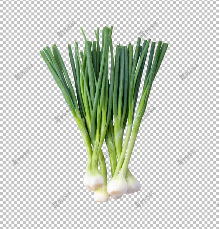 green onion isolated alpha layer_253984 8136 01 / سبزیجات پیاز سبز، پیازچه