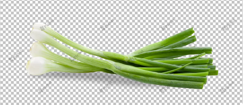 green onion isolated alpha layer_253984 8435 / سبزیجات پیاز سبز، پیازچه
