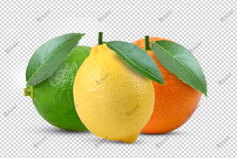 lime lemon orange isolated alpha layer / میوه لیمو پرتقال سه بعدی