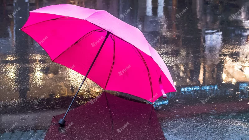 pink umbrella after rain pink umbrella wet / چتر صورتی زیر باران، نماد بیمه آرامش محافظ