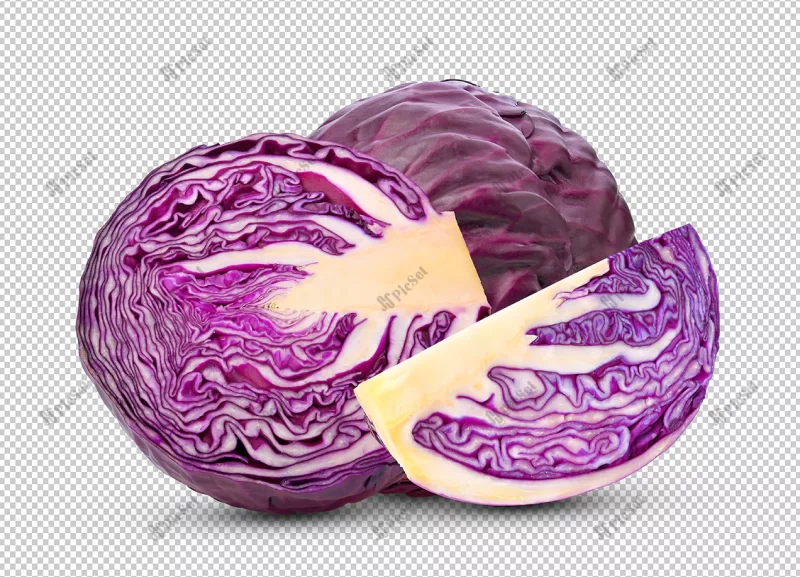 red cabbage alpha layer / کلم قرمز