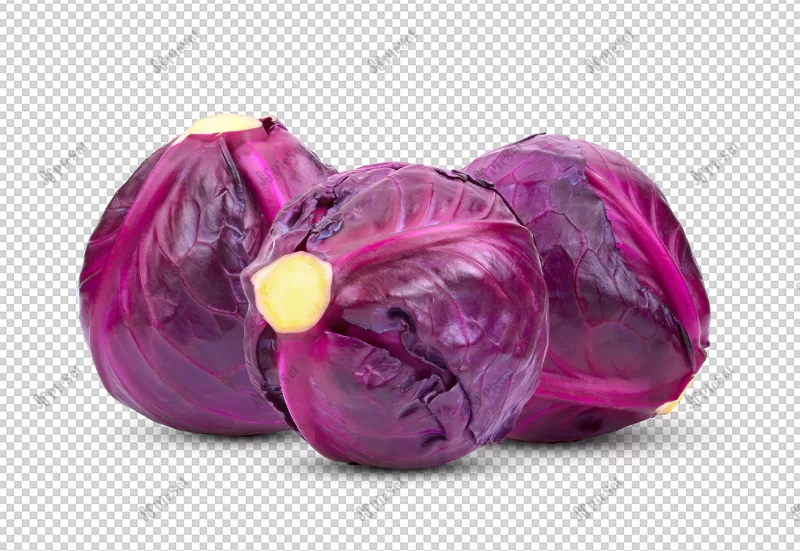 red cabbage isolated alpha layer / کلم قرمز