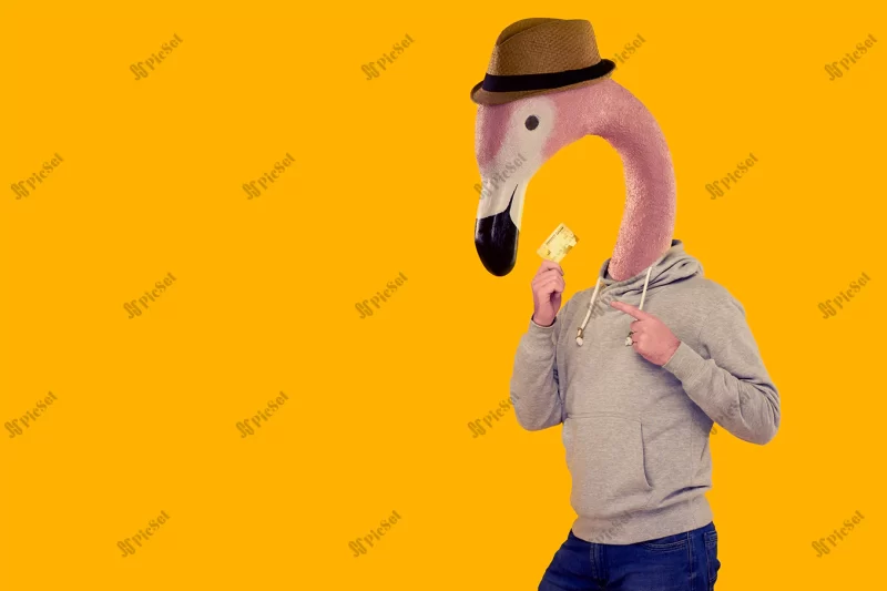 attractive man with head pink flamingo straw hat gray hoodie points finger credit card that is holding his hand yellow background / کلاژ مرد با سر فلامینگو صورتی و کلاه حصیری و هودی با کارت اعتباری در دست