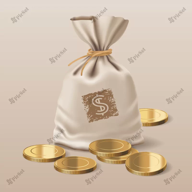 bag with golden coins / کیف با سکه های طلایی