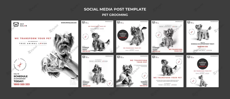 instagram posts pack pet grooming company / پست های اینستاگرام شرکت نظافت حیوانات خانگی