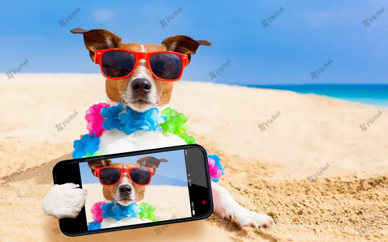 selfie, tourism concepts, hunting dog, travel / سلفی، مفاهیم گردشگری، سگ شکاری، سفر