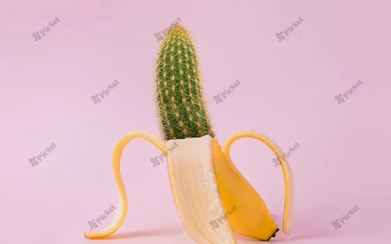 art, banana, cactus, creative / هنر، موز، کاکتوس، خلاقانه