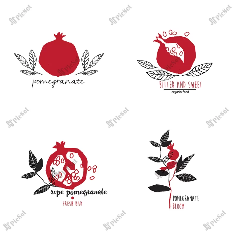 hand drawn set pomegranate logo templates / مجموعه لوگوی انار