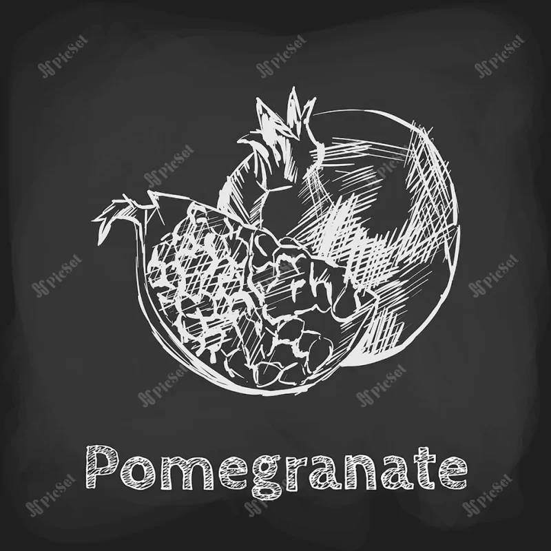 pomegranate sketch illustration hand drawn design usage element / طرح انار طراحی دستی