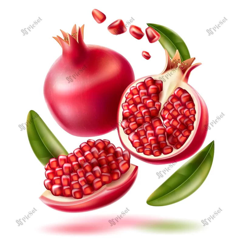 vector realistic pomegranate with seeds leaves / وکتور انار با دانه های برگ پوستر یلدا