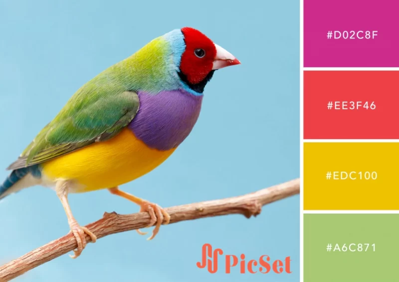 10 پالت رنگ روانشناختی برای به دست آوردن دوستان و تأثیرگذاری بر مردم / psychological color palettes